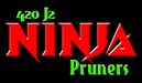 Copy of Ninja logo RED